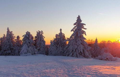 Ferienwohnung Merle in Winterberg-Altastenberg - Photo 20