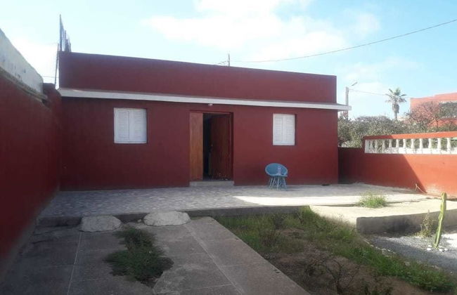 Paloma Pied Sur Sable - Foto 1