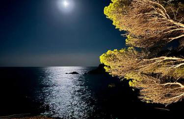 Sa Calma - Cap Sa Sal Begur - Foto 28