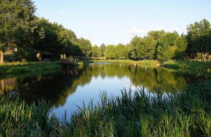 Ferienhaus am Flaumbach - Foto 25