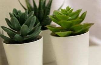 Family Beach Malibú II - Photo 45