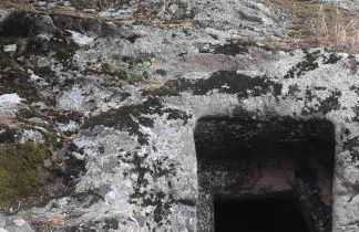 Il sughereto - Foto 20