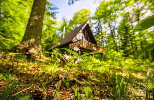Nine Sides Lodge- Cozy A-Frame makes base camp for ADK Adventures - Foto 39