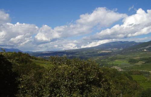 Agritur Agrihouse - Foto 16