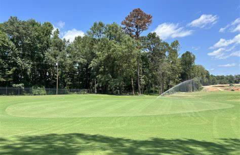 Copper on Ross - Modern and Remodeled - Foto 16