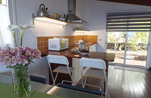 Dos Violetas - Foto 13