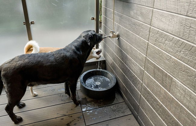 Rakuten STAY Nikko Hoden - Photo 35