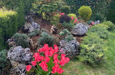 Casa Artistico - Foto 8