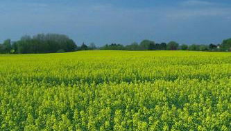 Apartment Ländliche Ferienwohnung in beliebtem Gästehaus by Interhome - Foto 3