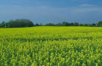 Apartment Schule 6 by Interhome - Foto 12