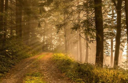 APARTAMENT GRABINKA - 100 m2 - Foto 15