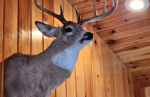 Spacious 5 Bedroom Cabin with Riverview & Black Lake Access - Foto 52