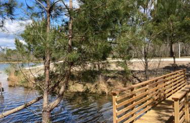 CHALET 10 chaleureux tout confort dans domaine avec Piscine au cœur des Landes bord de Lac avec plage aménagée - Foto 18