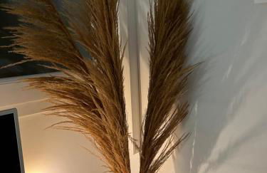 Terrasse Vue Mer - Appartement 6 pers, 3 chambres et Parking à St Tropez - Photo 24