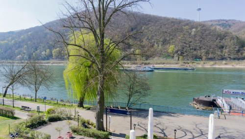 Rheinterrasse Wohnung 2 - Foto 3