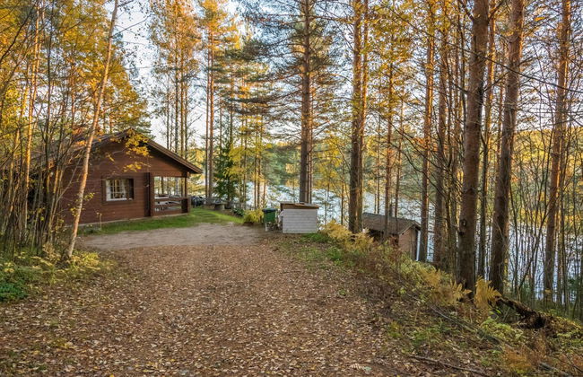 Aurinkorinne - Foto 2