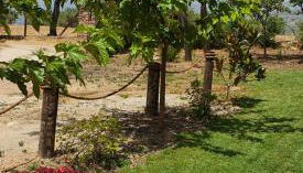 casa Rural Las Traviesas - Foto 3