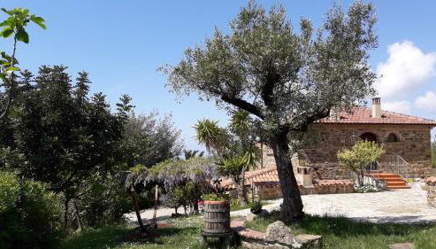 Country House Villa Nigro - Photo 5, Garden