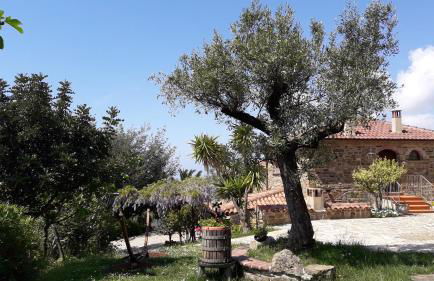 Country House Villa Nigro - Foto 5