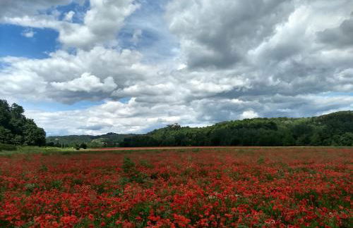 Borgo La Casaccia - Foto 45