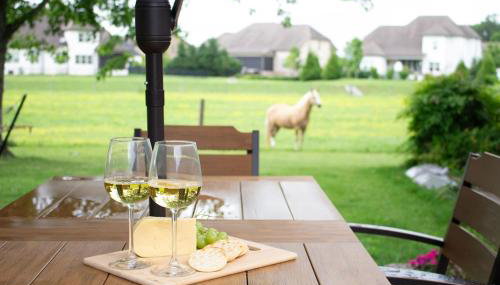 Hidden Gem Farm Homestead Sleeps 12 &Fresh Produce - Foto 1, Garden view