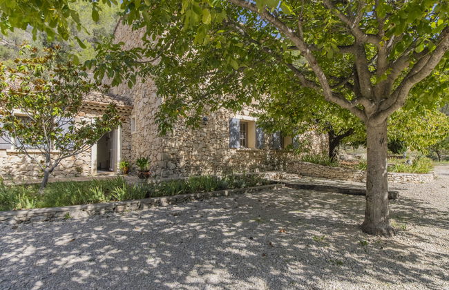 L'Oliveraie - Foto 22