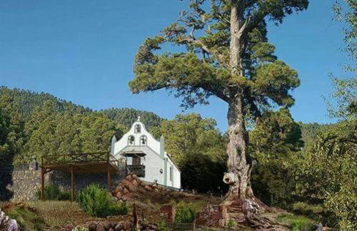 25 Atardeceres - Foto 20