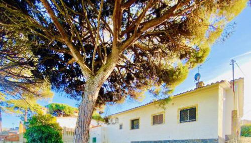 Costa CostaBravaSi - Foto 2