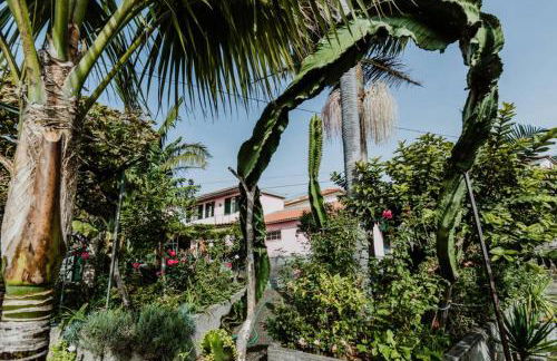 City View Gardens - Foto 8