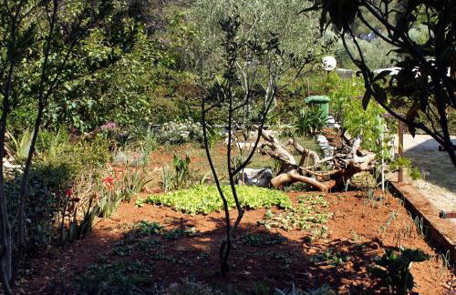 Apartments by the sea Brgulje, Molat - 6241 - Foto 9