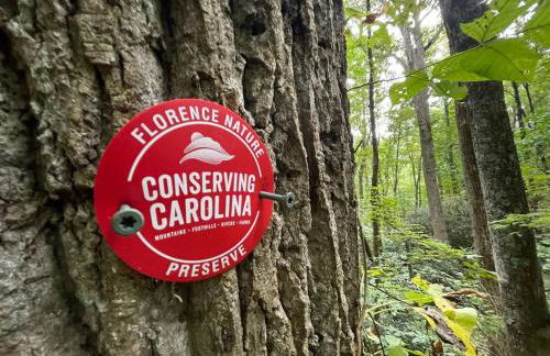 Happiness - Mountain Chalet, Hot Tub, Grill, and Trails! - Foto 44