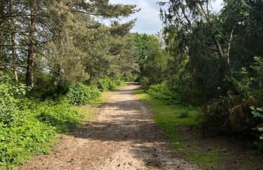 Cottage & Garden & Sauna am See - Foto 42