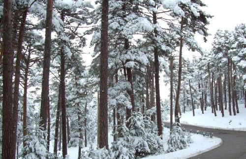 Casa Las Tinajas - Foto 44