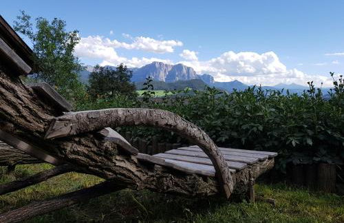 Schweiggerhof -Agriturismo- Farm Holidays - Foto 61