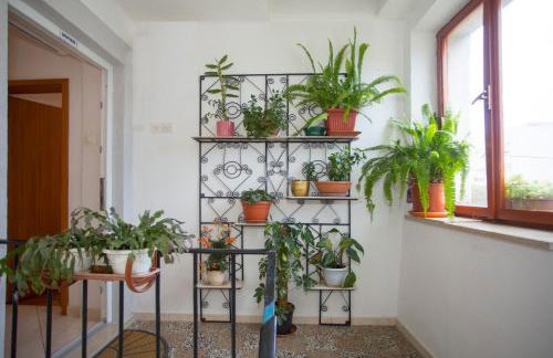 Apartment Marijeta - Foto 6