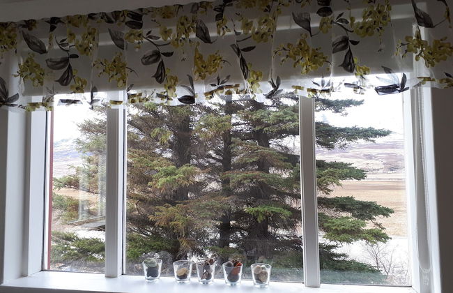 Brúnalaug Guesthouse Holiday Home - Foto 23