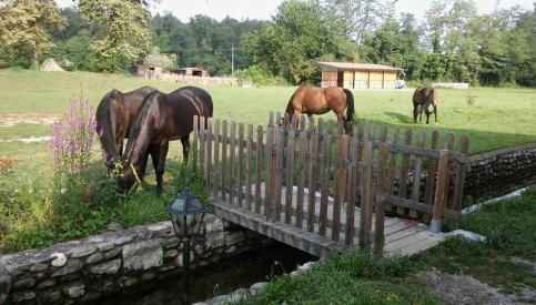 Agriturismo Helianthus - Foto 5