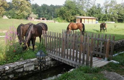 Agriturismo Helianthus - Foto 5