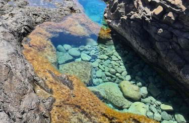 La Marisma Beach - Photo 28