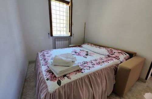 Il Vigneto - Foto 16