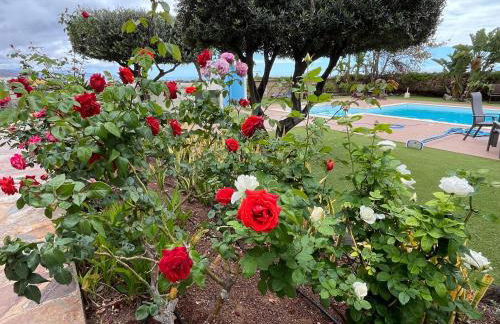 Finca Los Tomillos - Foto 32