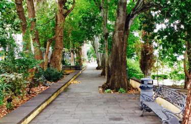 CASA ISABEL CENTRO Histórico - Foto 44