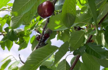 Elia & Meli Studio - Foto 24