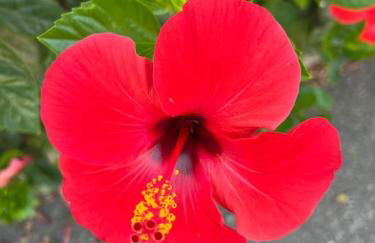 Un luogo sospeso nel tempo - Foto 7