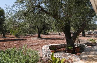 Trullo Tarantini con piscina privata - Foto 27