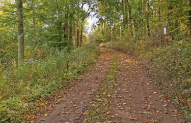 FeWo Albrecht direkt am Diemelsteig - Foto 37