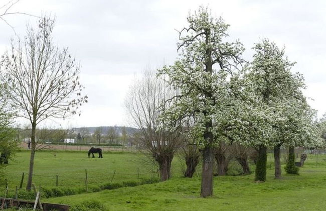 Located Near Maastricht Towards the Belgium Border - Photo 60