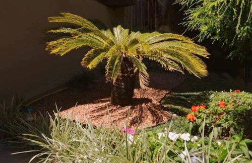 LOCAR-IN GRAMADO Monte Cervino Centro - Foto 37