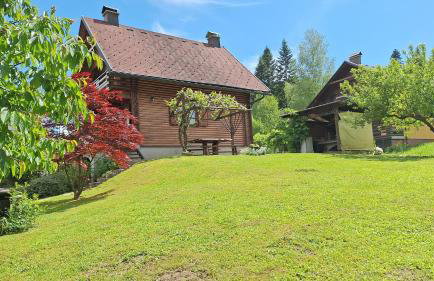 Kuća za odmor Family Fužine - Foto 14