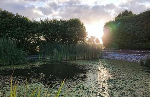 Ferienhaus Bliev-Hee Nr 5 - Foto 24